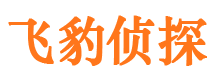 肃宁侦探公司